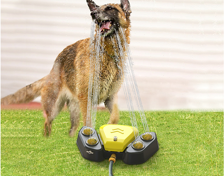 Fontaine à eau automatique d'extérieur pour chien