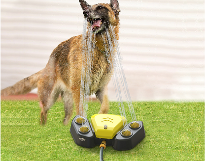 Fontaine à eau automatique d'extérieur pour chien