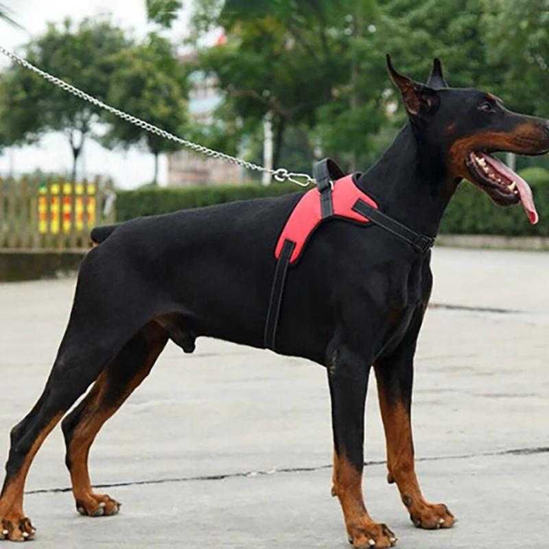 Harnais réglable pour chien