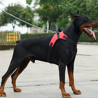 Harnais réglable pour chien