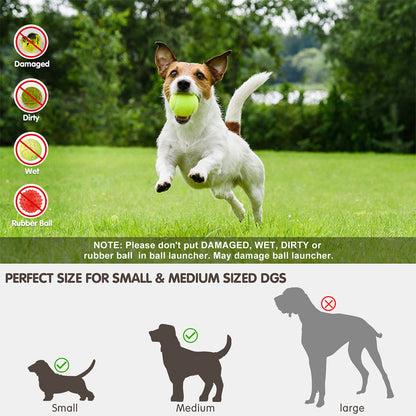 Lanceur automatique de balles pour animaux de compagnie