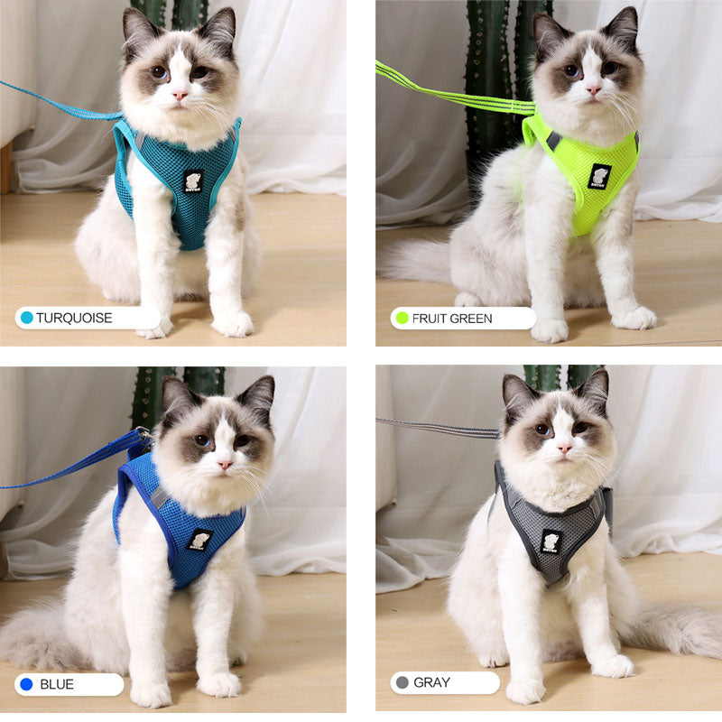Harnais de traction anti-choc pour chat