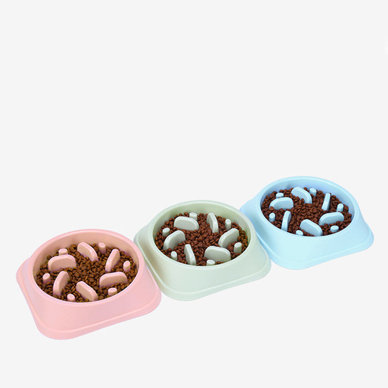 Gamelle d'alimentation lente pour animaux de compagnie