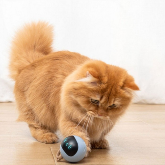 Jouet intelligent pour chat