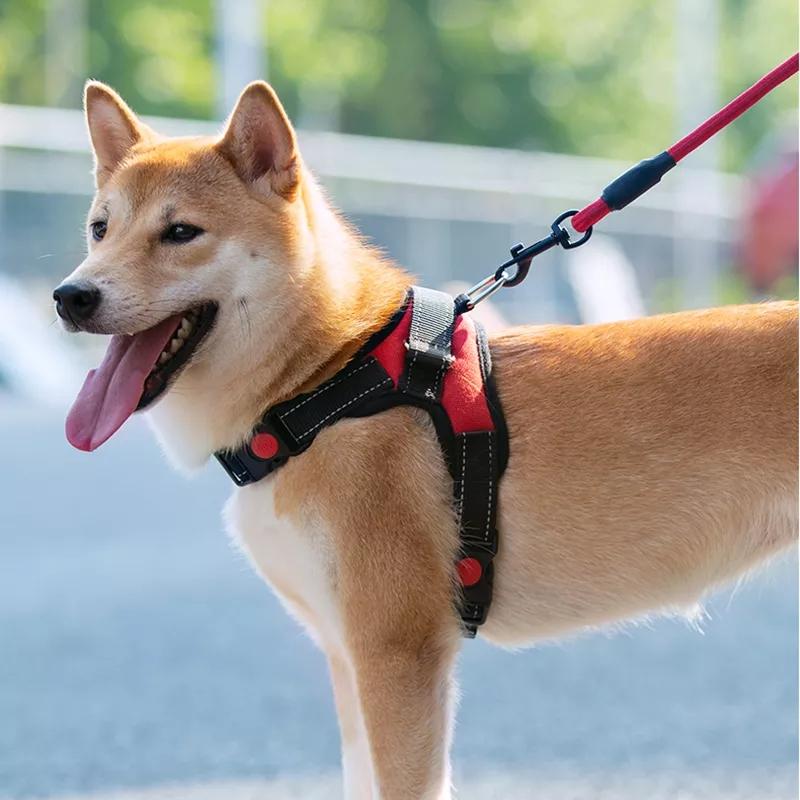 Harnais réglable pour chien