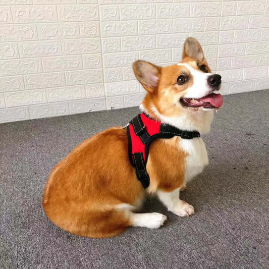 Harnais réglable pour chien