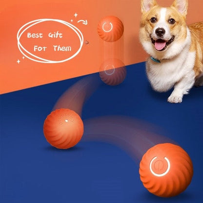 Jouets en caoutchouc pour chiens de compagnie