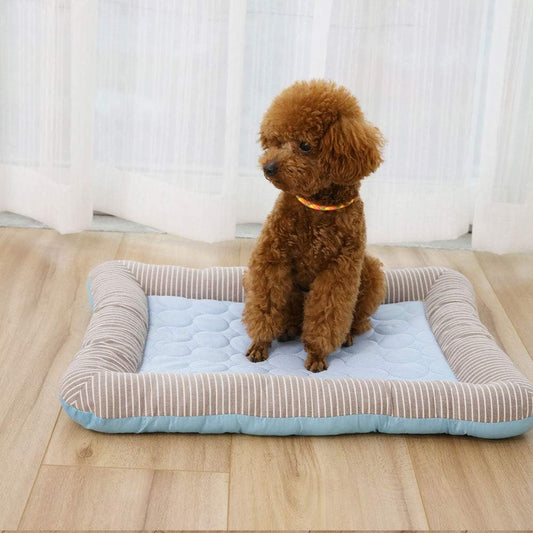 Tapis rafraîchissant respirant pour animaux de compagnie