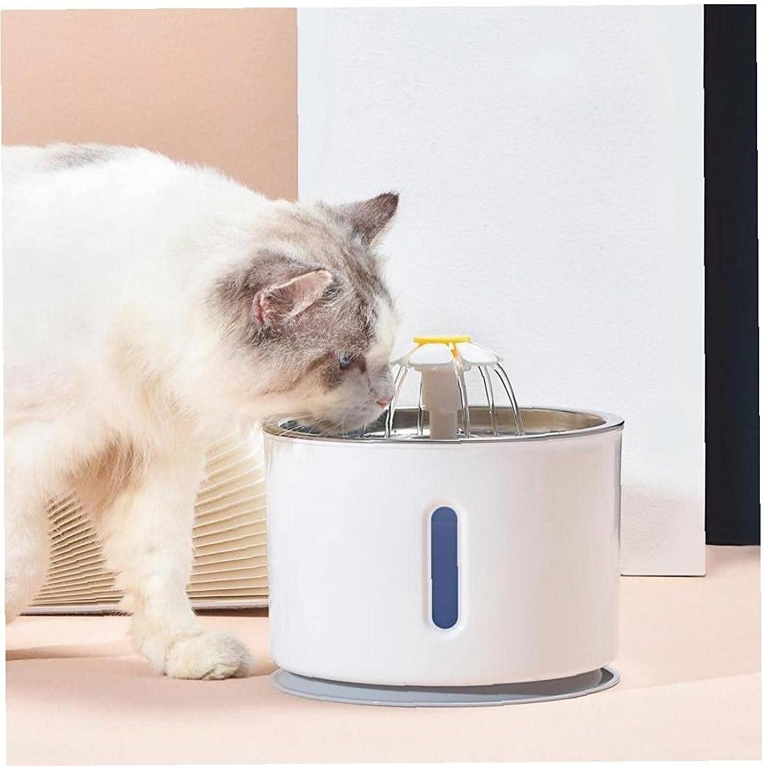 Fontaine à eau automatique pour chat