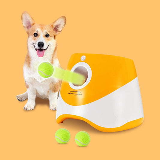 Lanceur automatique de balles pour animaux de compagnie