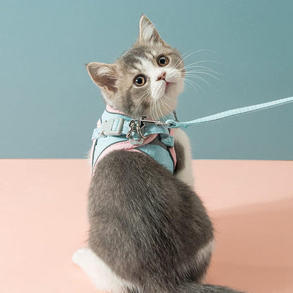 Ensemble de harnais réglable pour chat