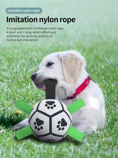 Ballon de football pour chien