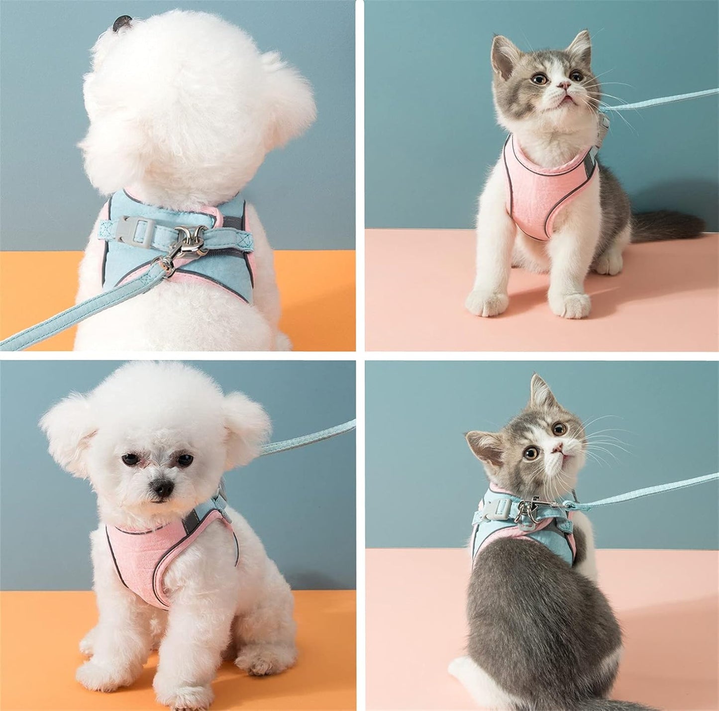 Ensemble de harnais réglable pour chat
