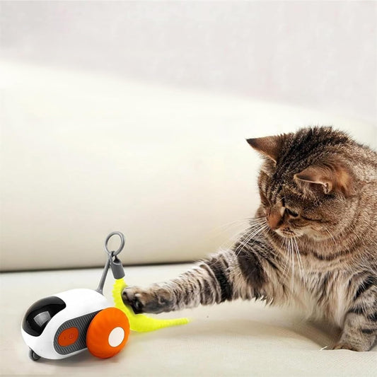 Jouet interactif télécommandé pour chat