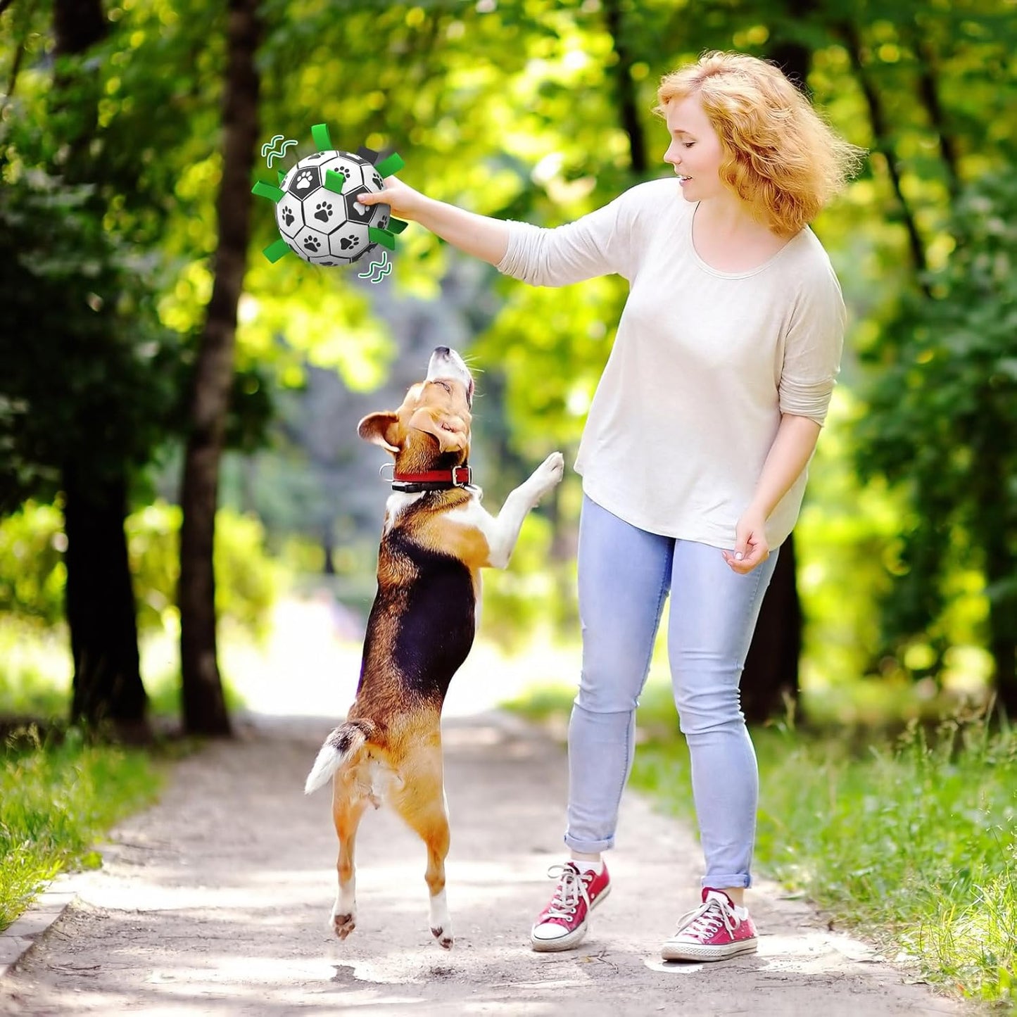 Ballon de football pour chien