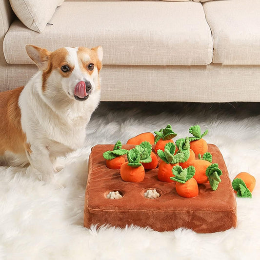 Jouet interactif en peluche pour chien Carrot Farm