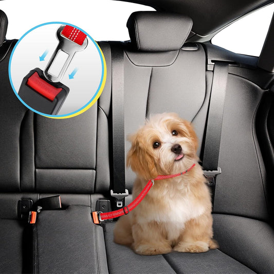 Ceinture de sécurité pour animaux de compagnie