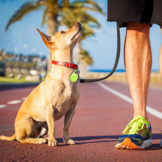 Traceur GPS intelligent pour animaux de compagnie