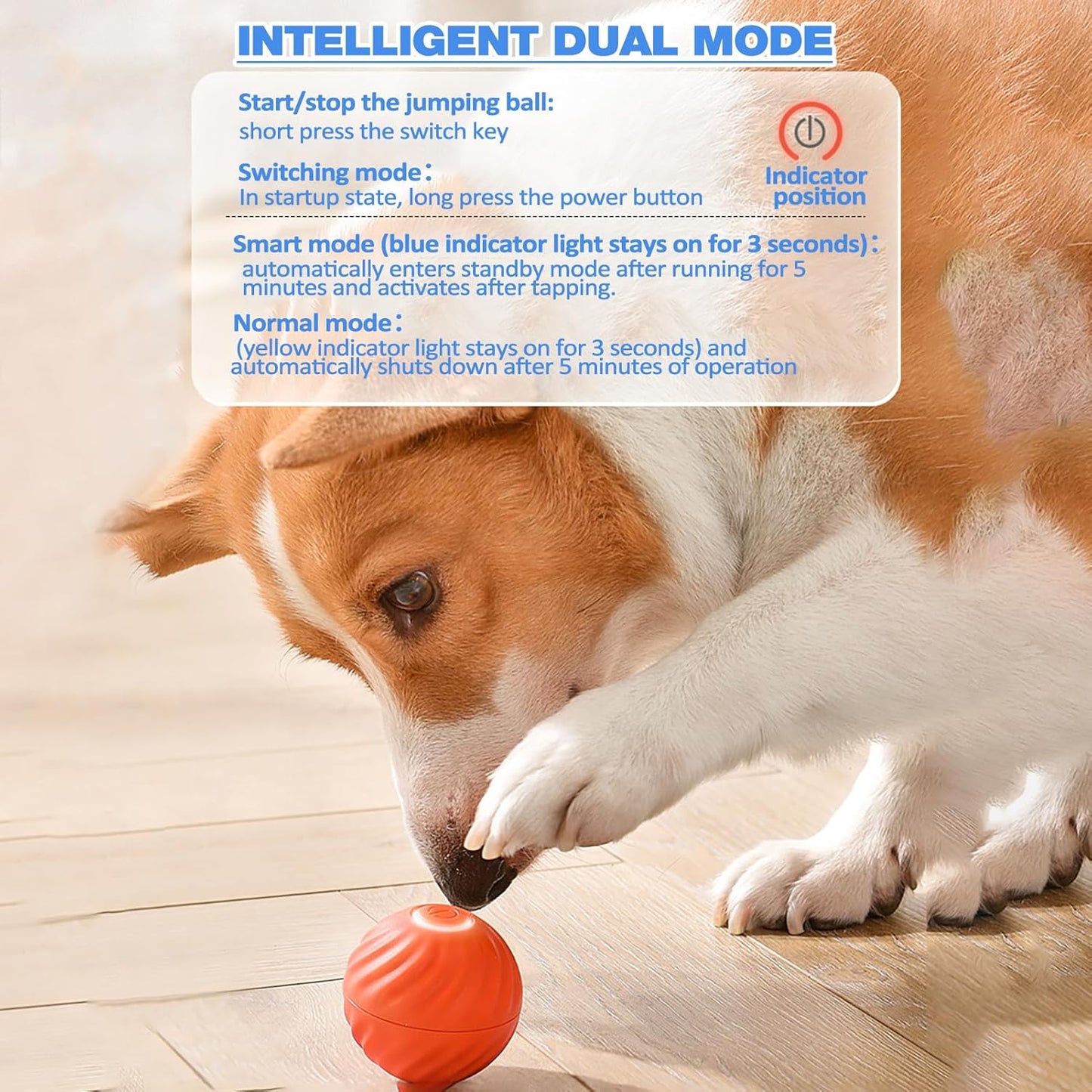 Jouets en caoutchouc pour chiens de compagnie