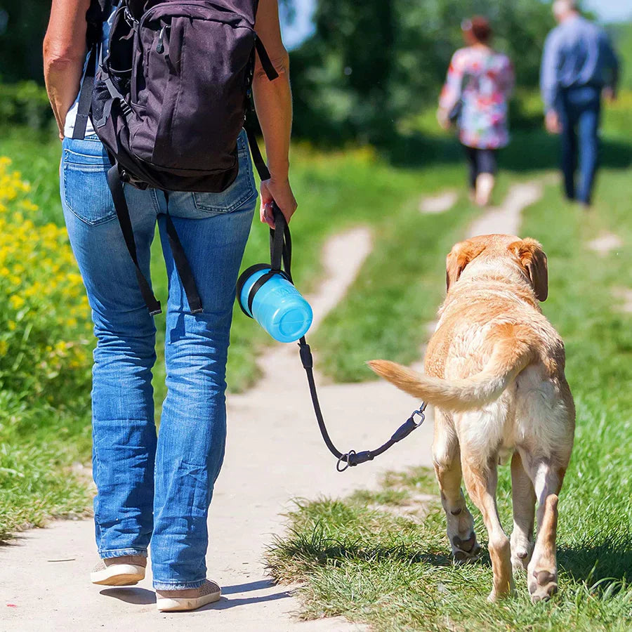 Bouteille d'eau potable pour animaux de compagnie