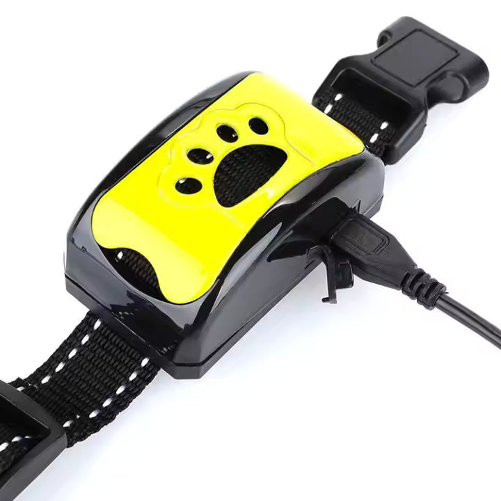 Collier anti-aboiement pour chien