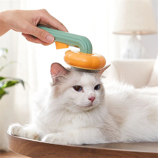 Brosse pour animaux de compagnie en forme de citrouille
