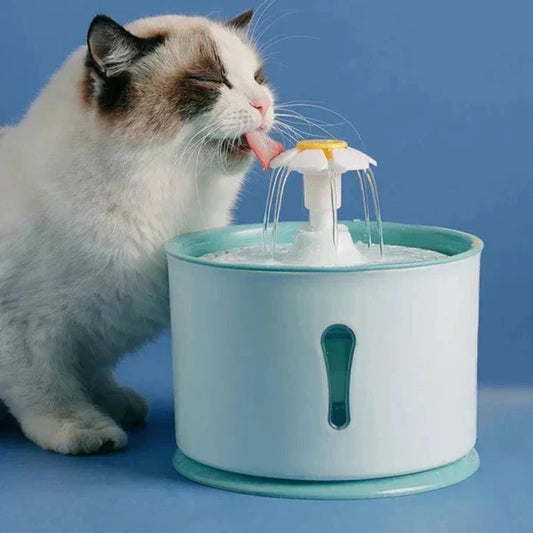Fontaine à eau automatique pour chat
