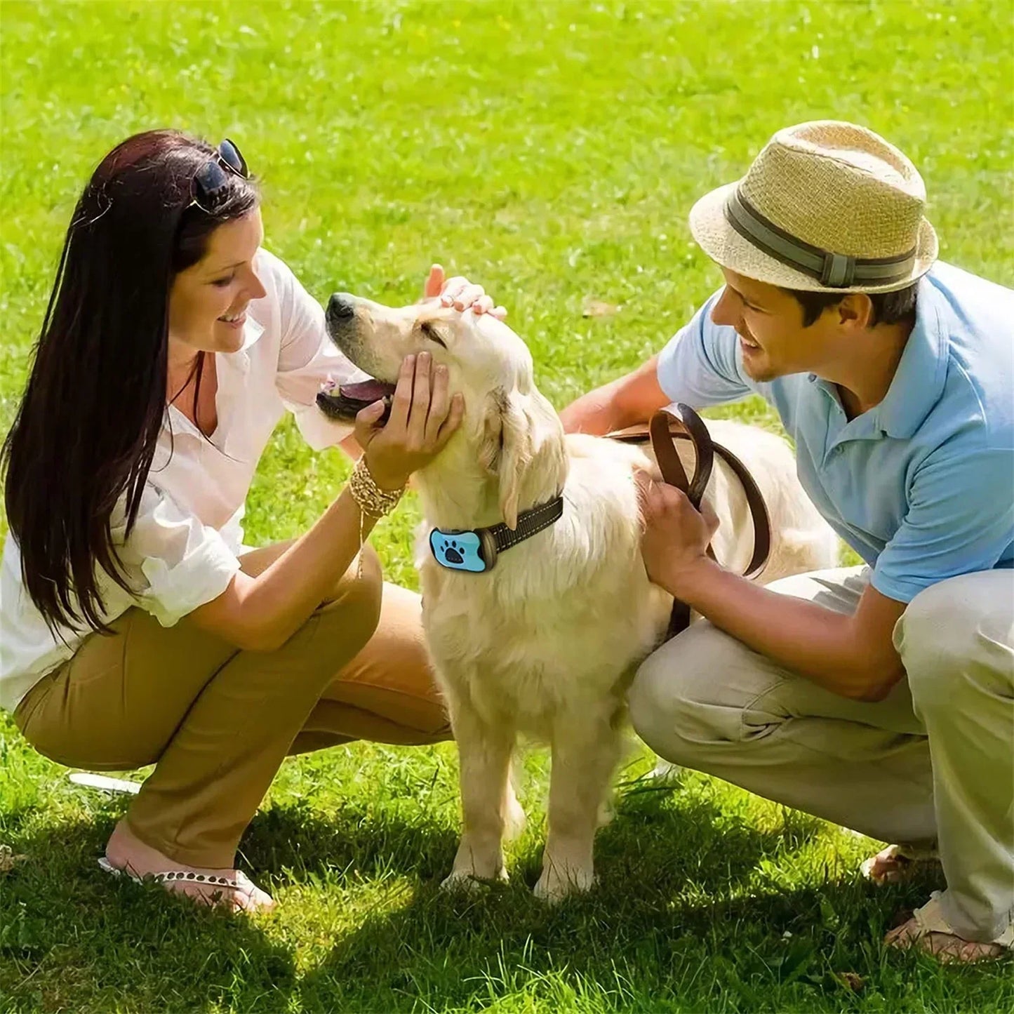 Collier anti-aboiement pour chien