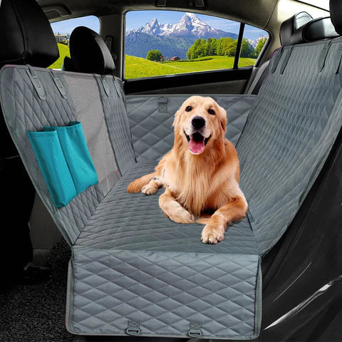 Chien assis sur une housse de siège de voiture imperméable, avec vue sur des montagnes.