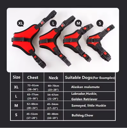 Harnais réglable pour chien