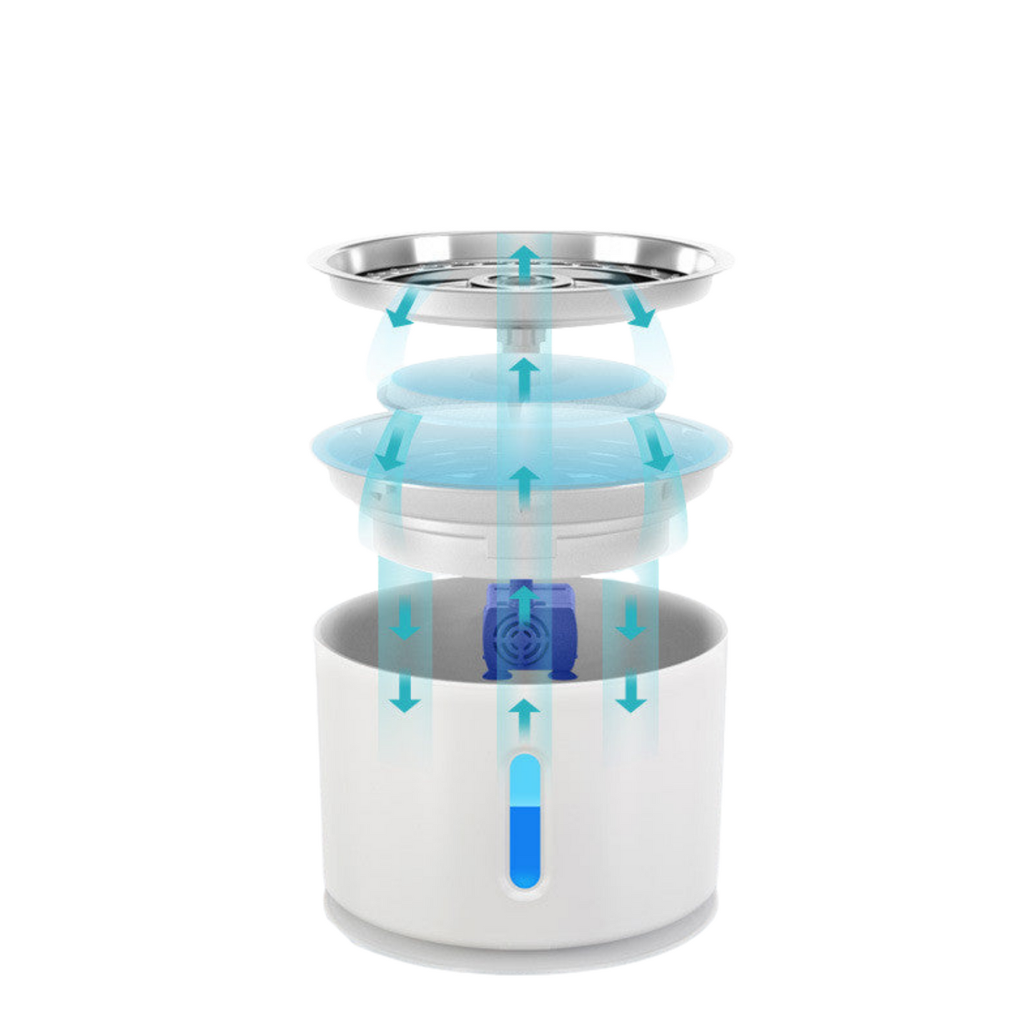 Fontaine à eau automatique pour chat