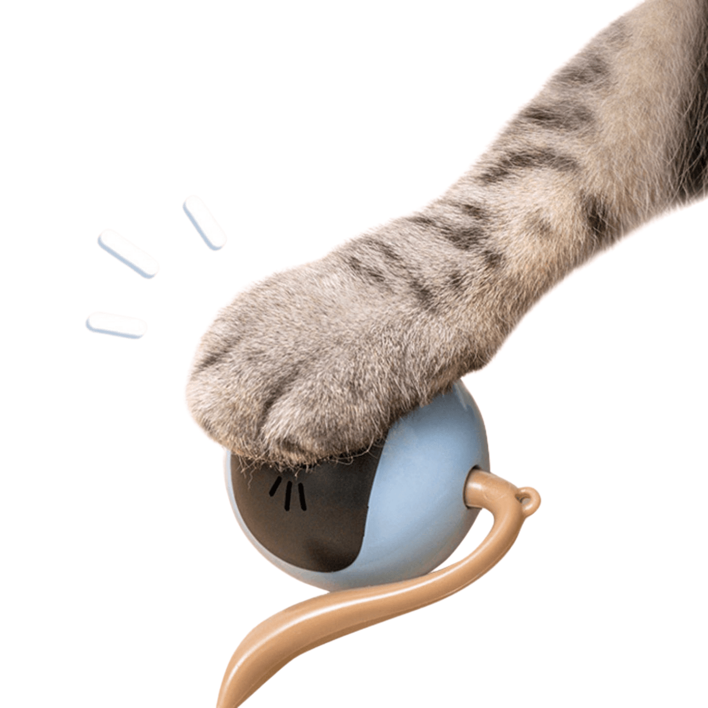 Jouet intelligent pour chat
