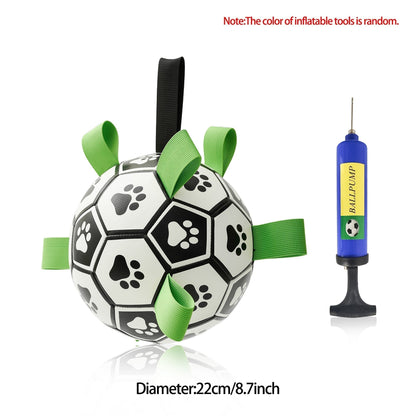 Ballon de football pour chien