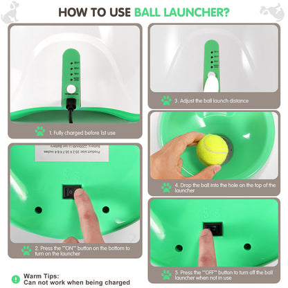 Lanceur automatique de balles pour animaux de compagnie