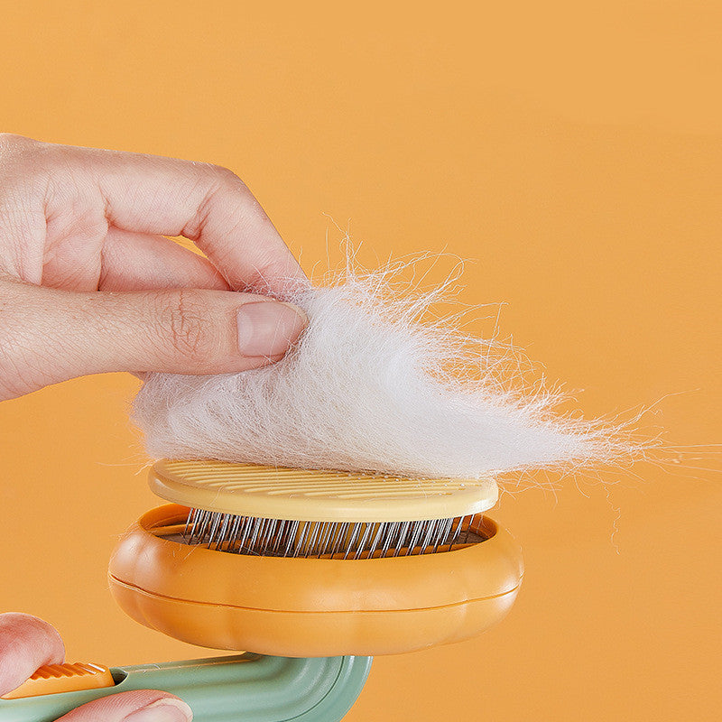 Brosse pour animaux de compagnie en forme de citrouille