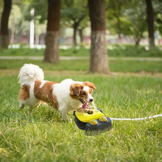 Fontaine à eau automatique d'extérieur pour chien