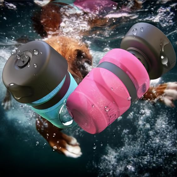 Bouteille d'eau potable pour animaux de compagnie
