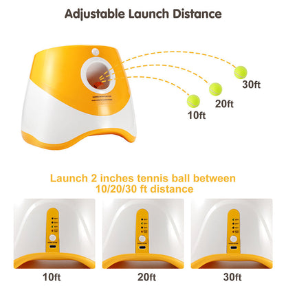 Lanceur automatique de balles pour animaux de compagnie