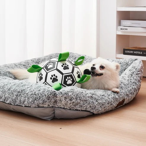 Ballon de football pour chien