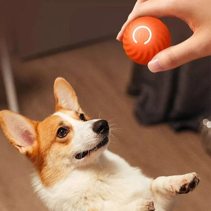 Jouets en caoutchouc pour chiens de compagnie