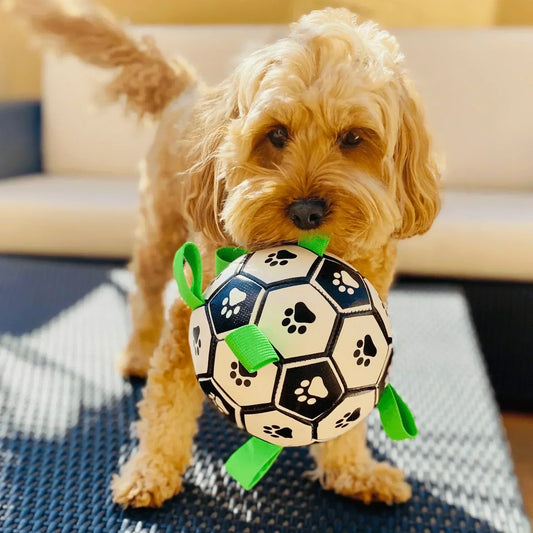 Ballon de football pour chien