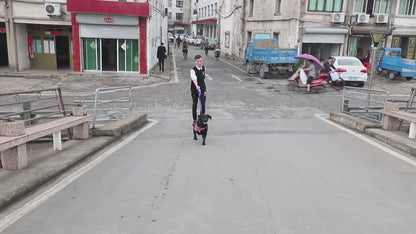Laisse multifonctionnelle pour chien