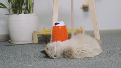 Brosse rotative automatique pour chat
