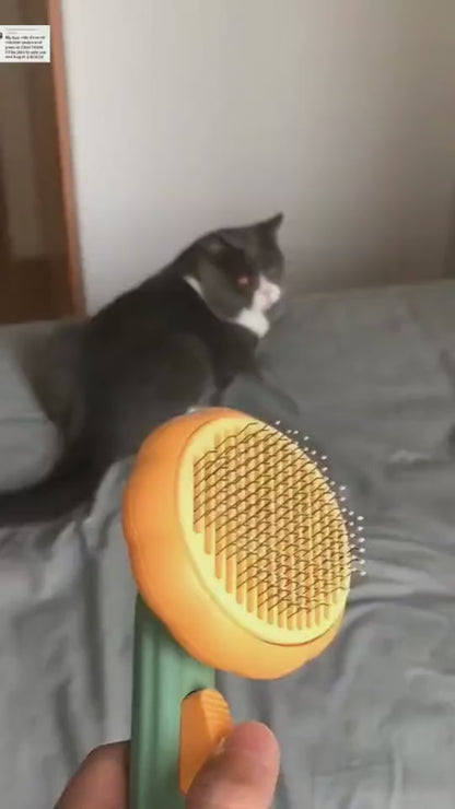 Brosse pour animaux de compagnie en forme de citrouille