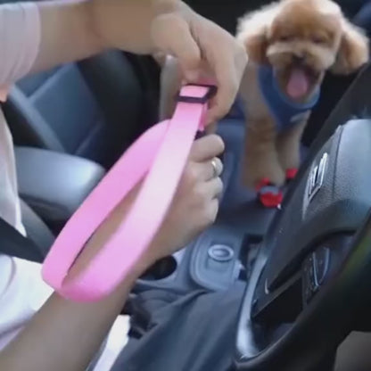Ceinture de sécurité pour animaux de compagnie