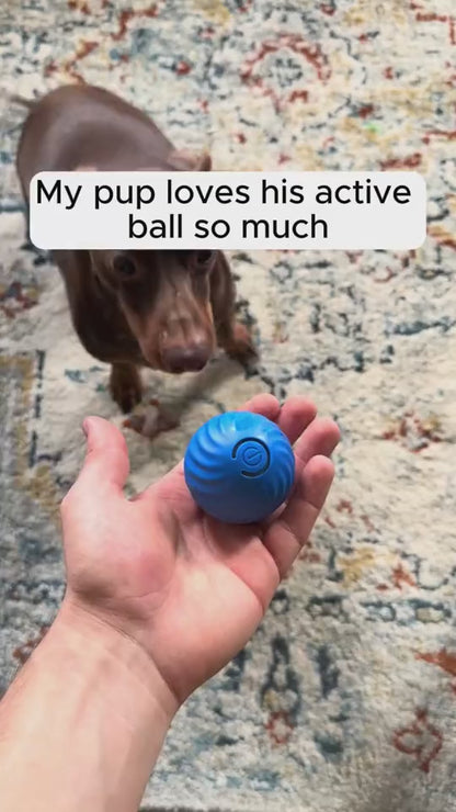 Jouets en caoutchouc pour chiens de compagnie