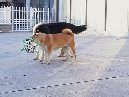 Ballon de football pour chien