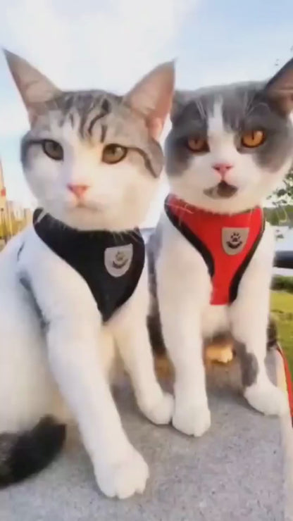 Harnais de traction anti-choc pour chat