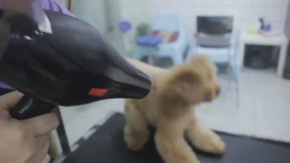 Sèche-cheveux électrique pour animaux de compagnie