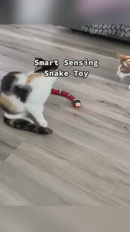 Jouet serpent à détection intelligente pour chat